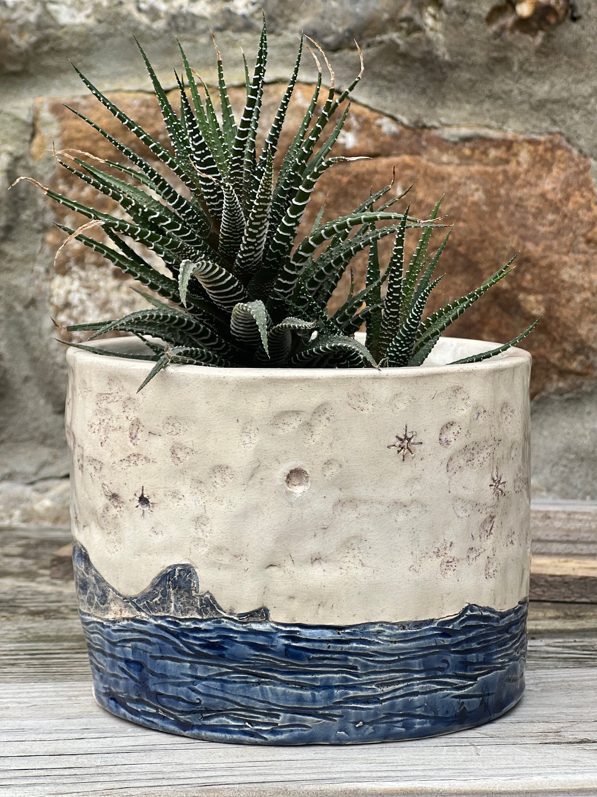 A handcrafted stoneware pot with a coastal waves and stars design, containing a green plant, placed against a rustic background.