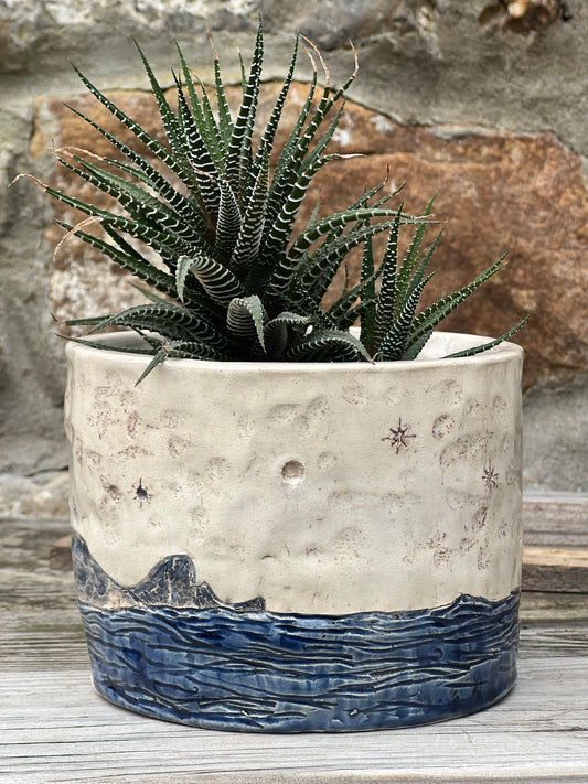 A handcrafted stoneware pot with a coastal waves and stars design, containing a green plant, placed against a rustic background.
