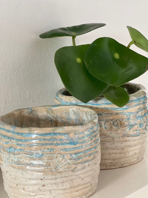 Two ceramic planters with a green leafy plant against a white wall.